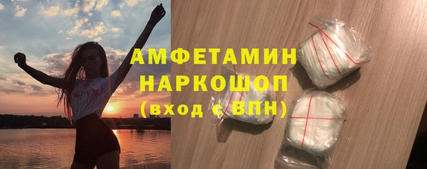 хмурый Алексин