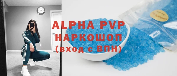 хмурый Алексин