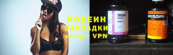 хмурый Алексин