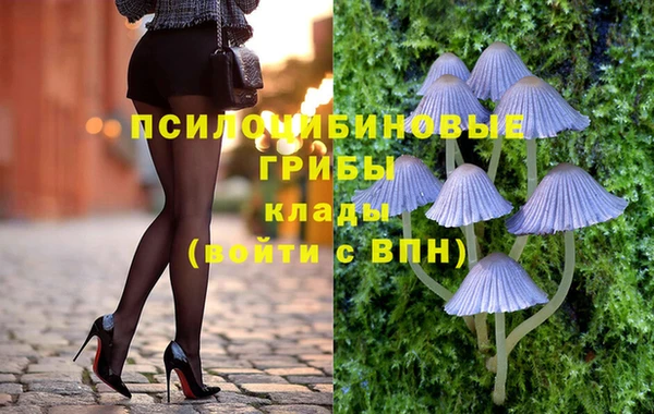 a pvp Алзамай