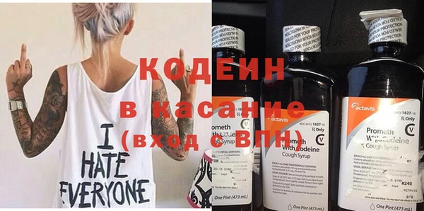 хмурый Алексин